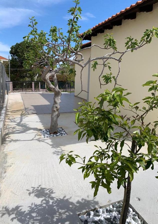 פלוגיטה 2-Bedroom Luxury Family Home מראה חיצוני תמונה